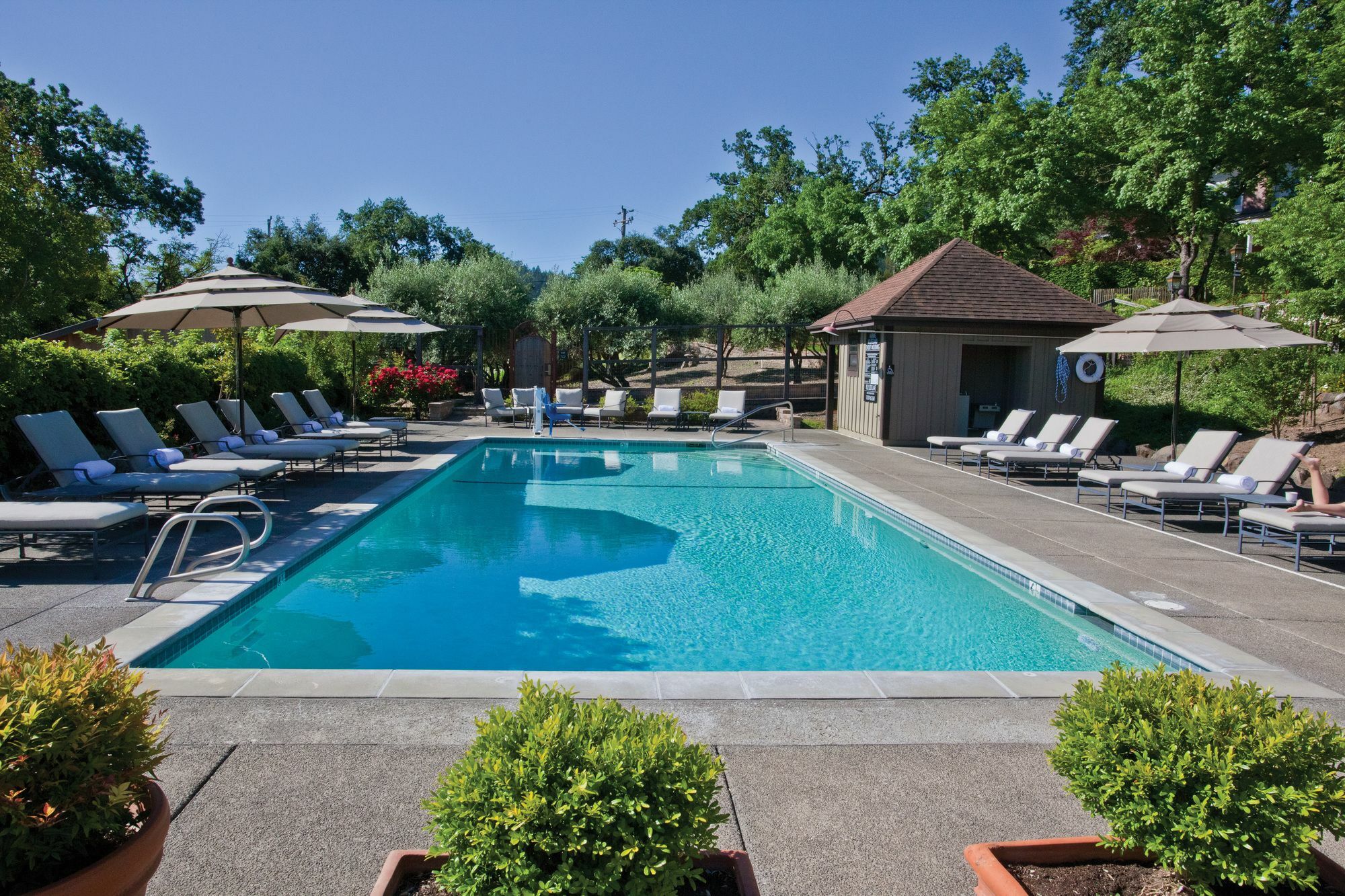 Wine Country Inn Napa Valley St. Helena Eksteriør billede
